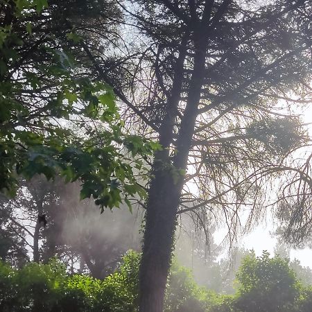 Villa Poliziana San Benedetto Montepulciano Stazione المظهر الخارجي الصورة